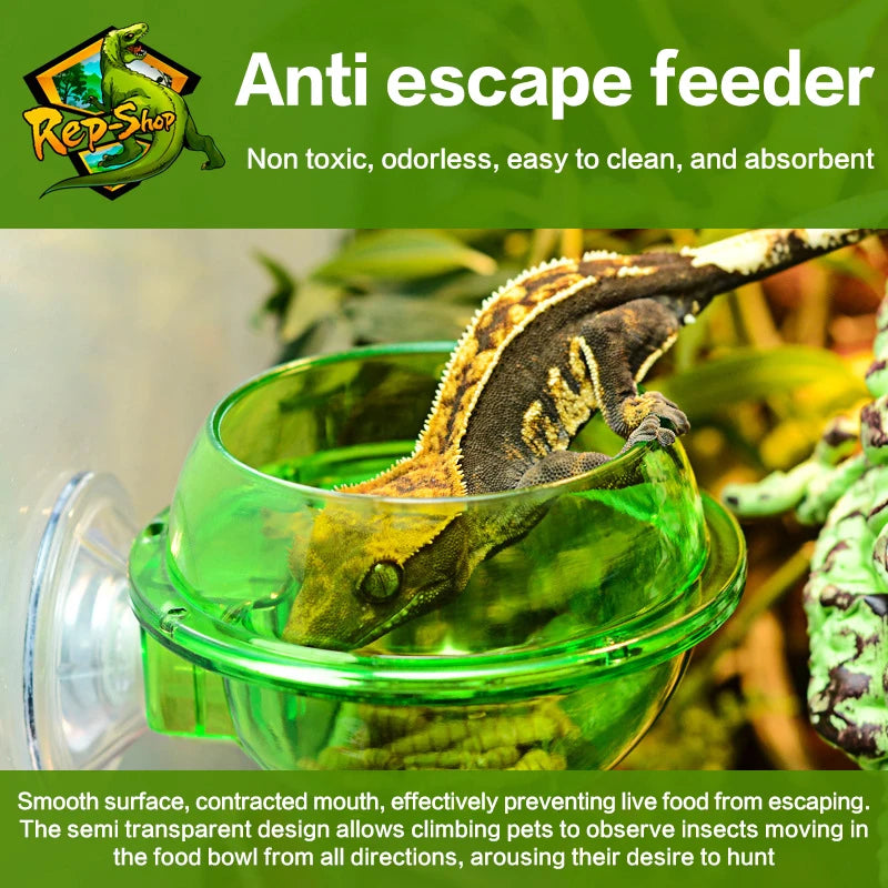 Arboreal Reptile Sucker Feeder Bowl