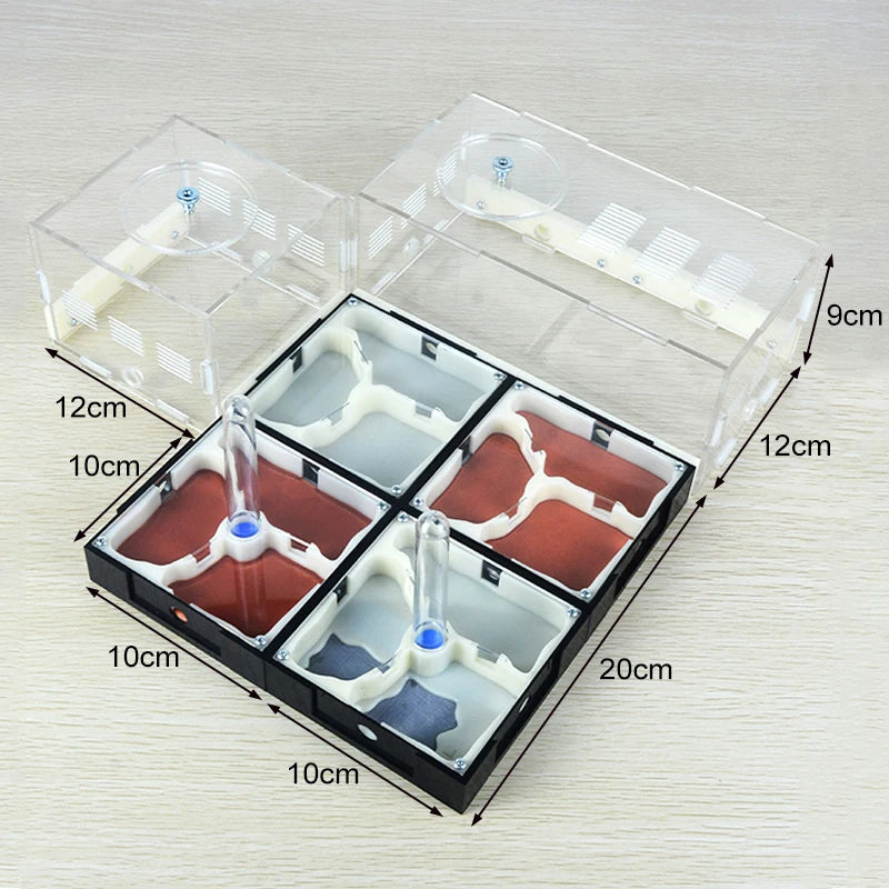 Acrylic Ant Farm Unlimited Expansion.