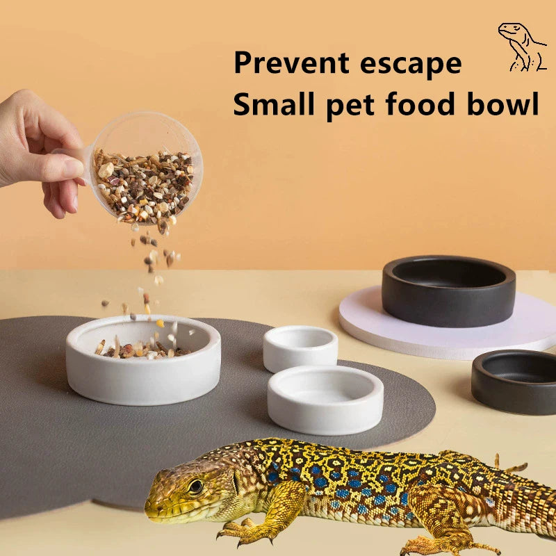 Reptile Food Bowl Anti-Escape Ceramic Feeder Dish Black White Reptile Water Bowl For Hermit Crab Gecko Chameleon Corn Snake