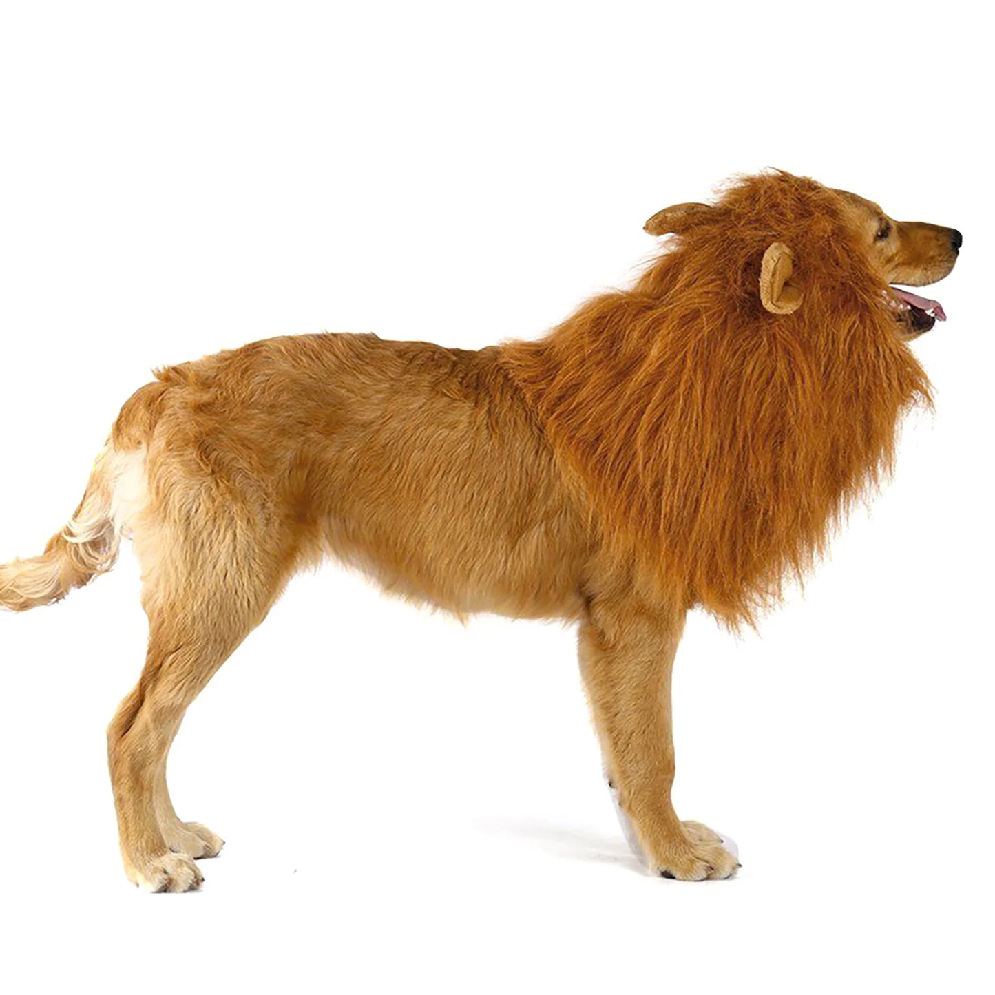 Cute Pet Dog Cosplay Clothes Lion Mane For Dog Costumes Realistic Lion Wig For Medium to Large Dogs With Ear Pet Accessories