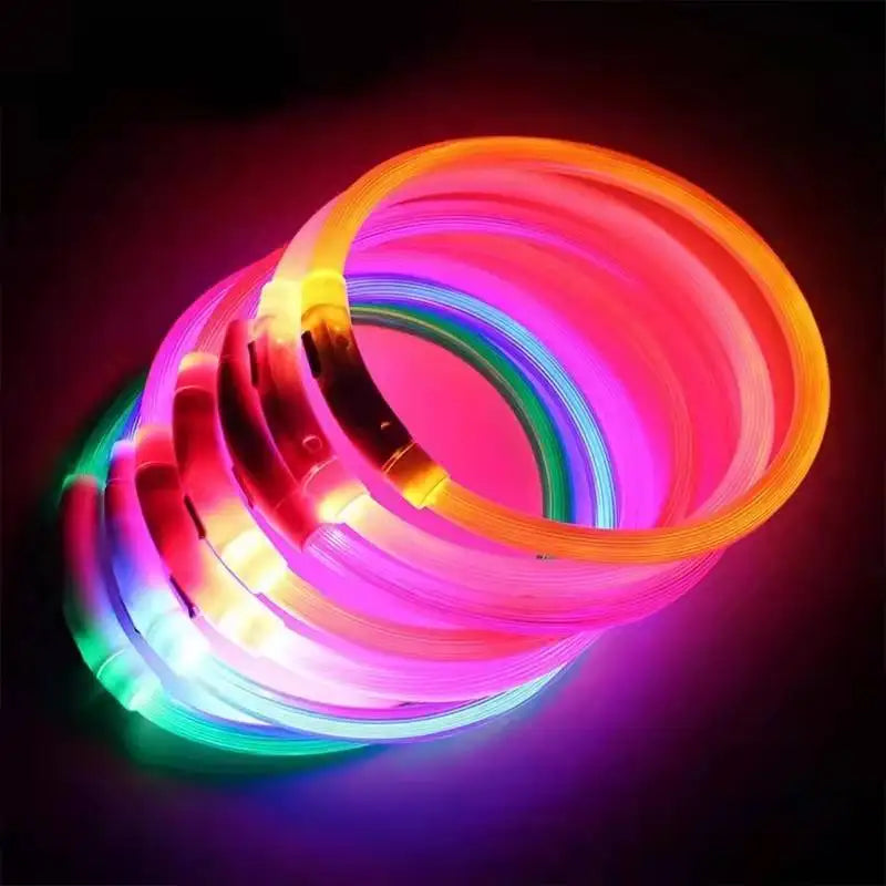 PetGlow LED Dog Collar - USB Rechargeable Night Safety