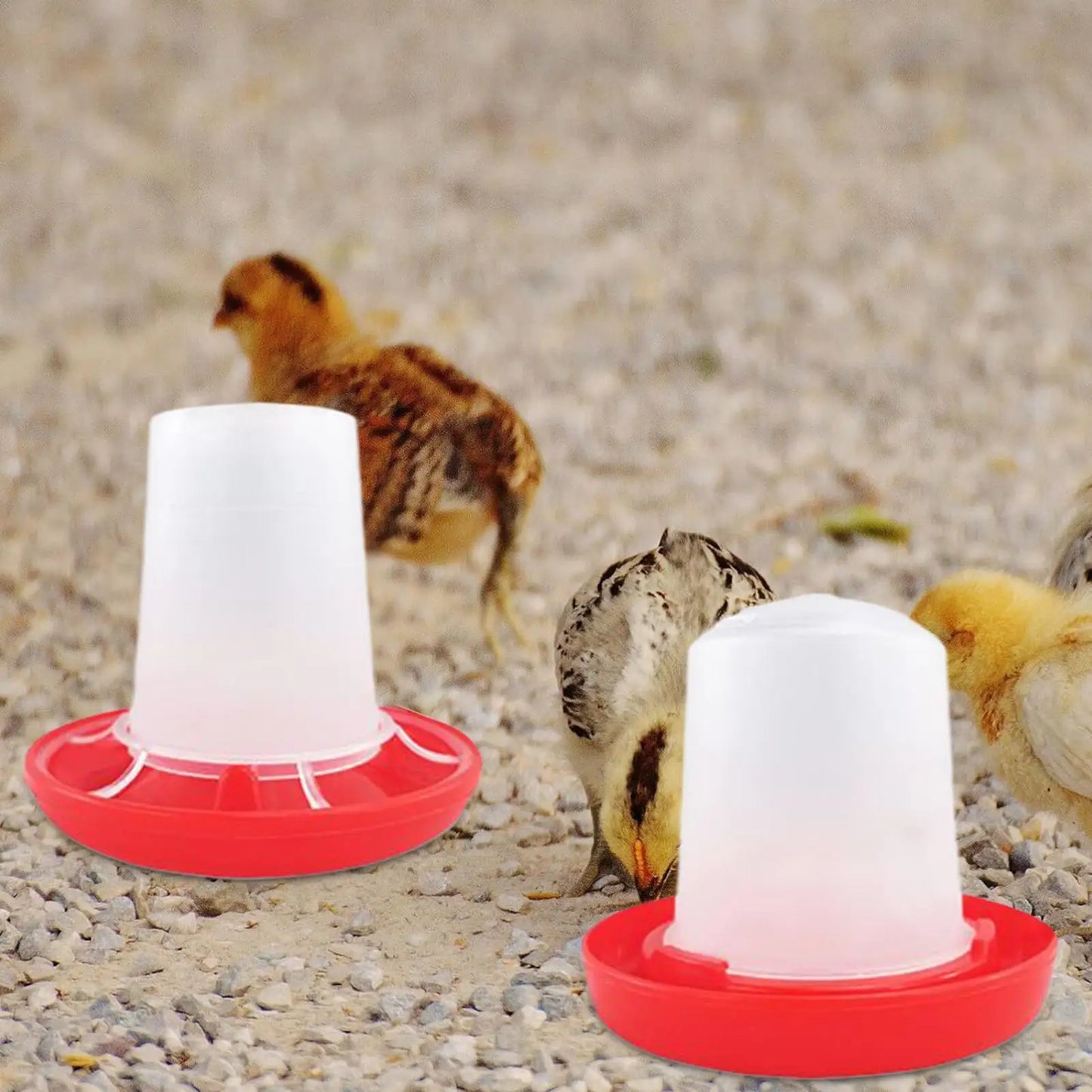 Automatic Chicken Waterer Chicken Feed funnel Poultry Feeding Equipment Bird Food Canisters For Farm Pet Outdoor Barn Family