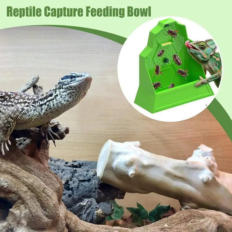Chameleon Feeder Reptile Food Dish Hunting Bowl Anti-Escape Feeder For Snake Frog Tortoise Bearded Dragon Spider Amphibian