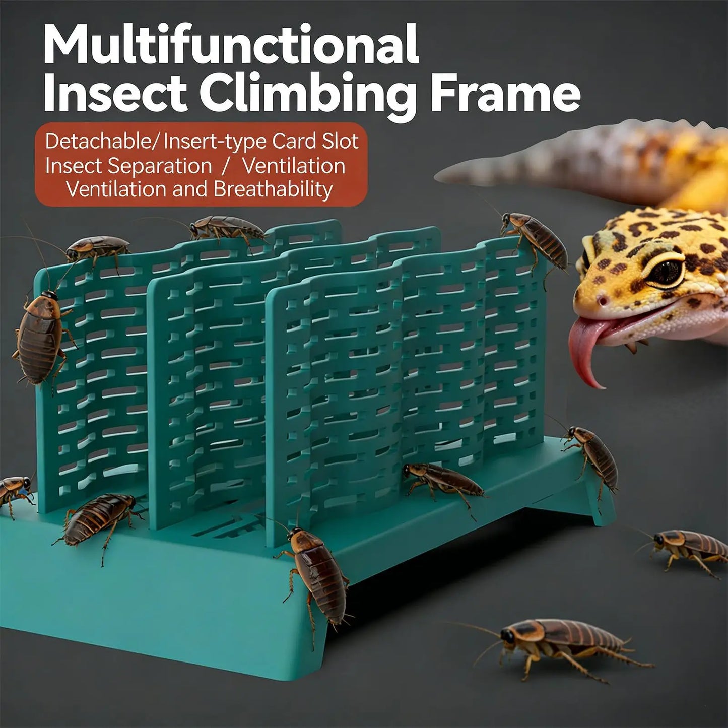 Reptile Feeder Anti Escape Acrylic Bowl Chameleon Lizard Gecko Dubia Roach Cricket Tank Terrarium Wall Mount Vivarium Accessorie