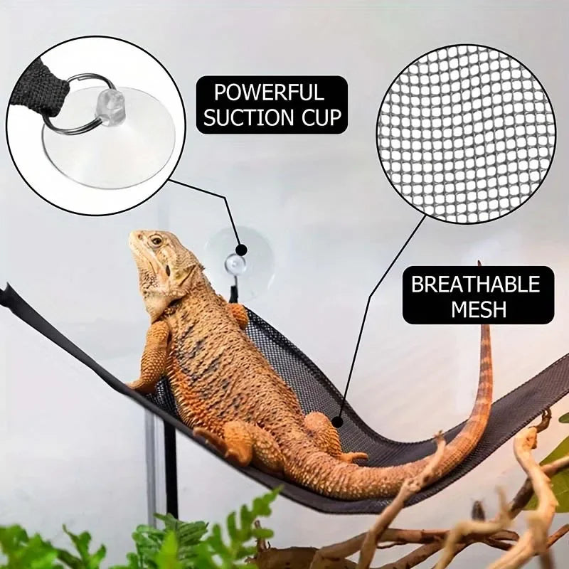 Reptile Hammock