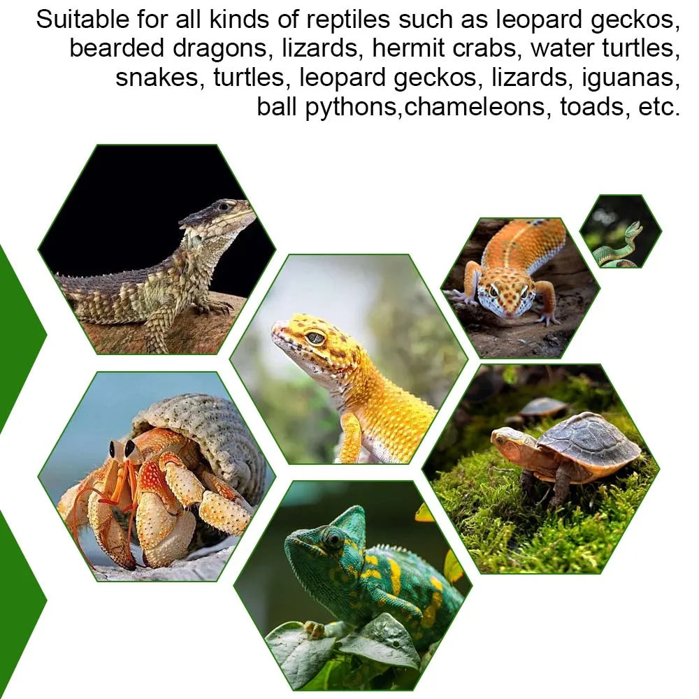 Reptile Carpet Reptile Tank Accessories Habitat Soft Aquascape Pad Reptile Mat for Snake Tortoise Chameleon Bearded Dragon