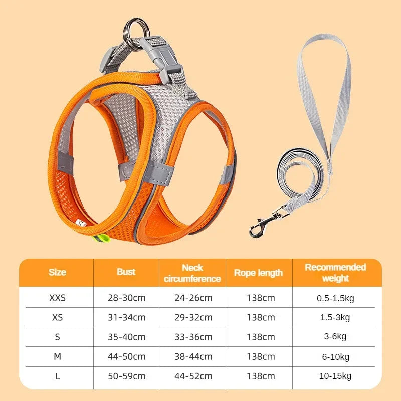 Small Dog/Cat Harness