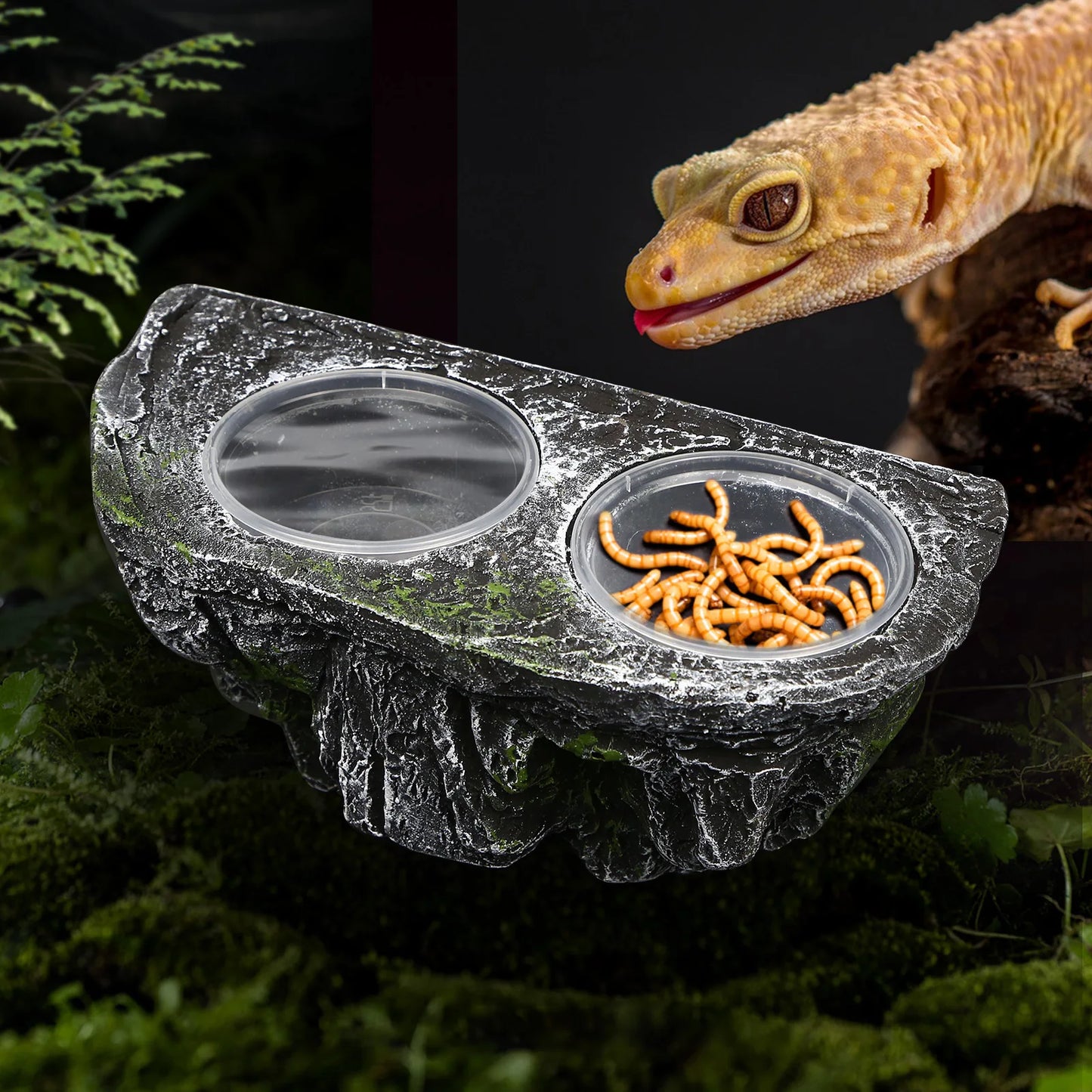 Resin Reptile Feeding Dish, Dual Bowl for Food & Water, Detachable, Easy Clean, Suction Cups, Habitat Decor for Bearded Dragons,