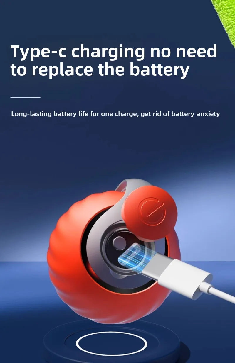 Cats Interactive Ball Toys