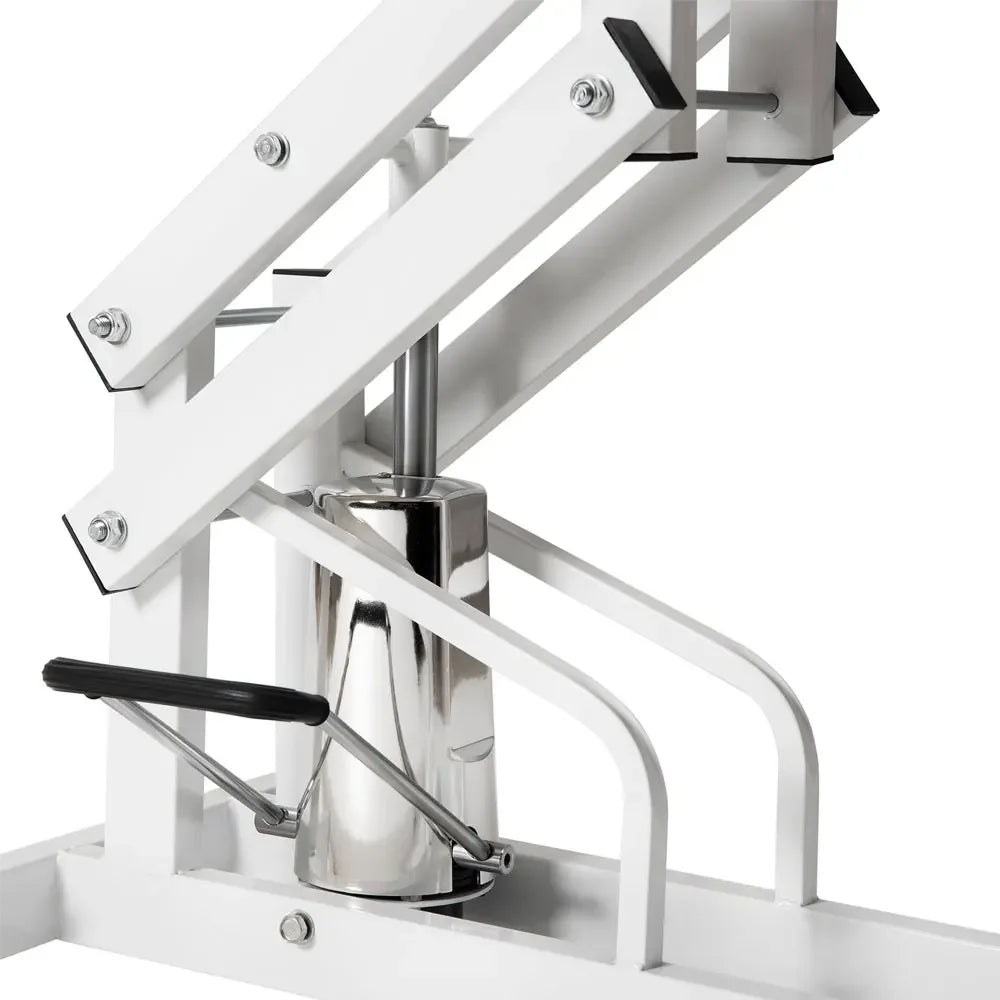304 Stainless Steel Pet Supplies Hydraumatic Cross Lifting Pet Grooming Table for Large Dogs