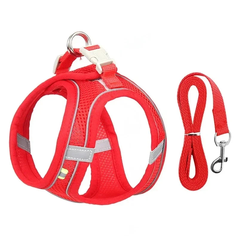 Small Dog/Cat Harness