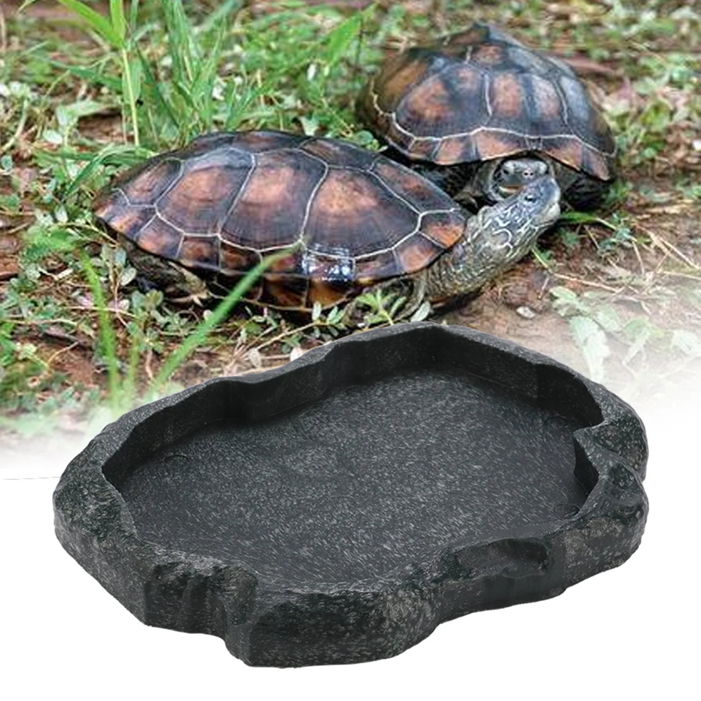 ABS Resin  Reptile Rock Food and Water Dish Feeder Bowl for Tortoise Lizard Reptile Feeder Lizard Feeder Reptile Bowl