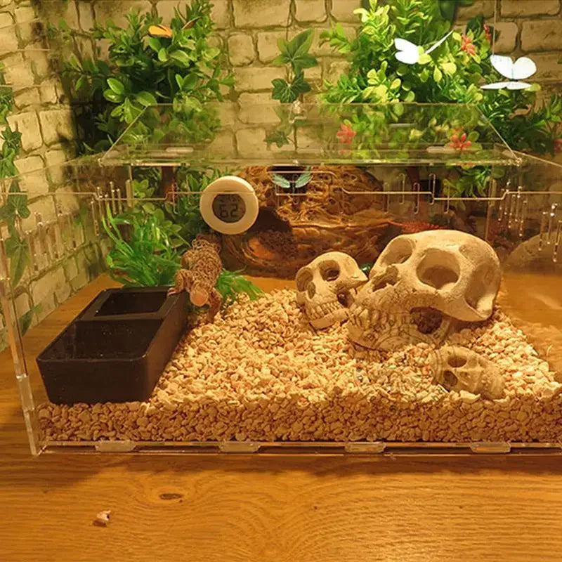 Title (SEO, ≤40 chars): 2-in-1 Reptile Feeder Bowl Keeps Tidy