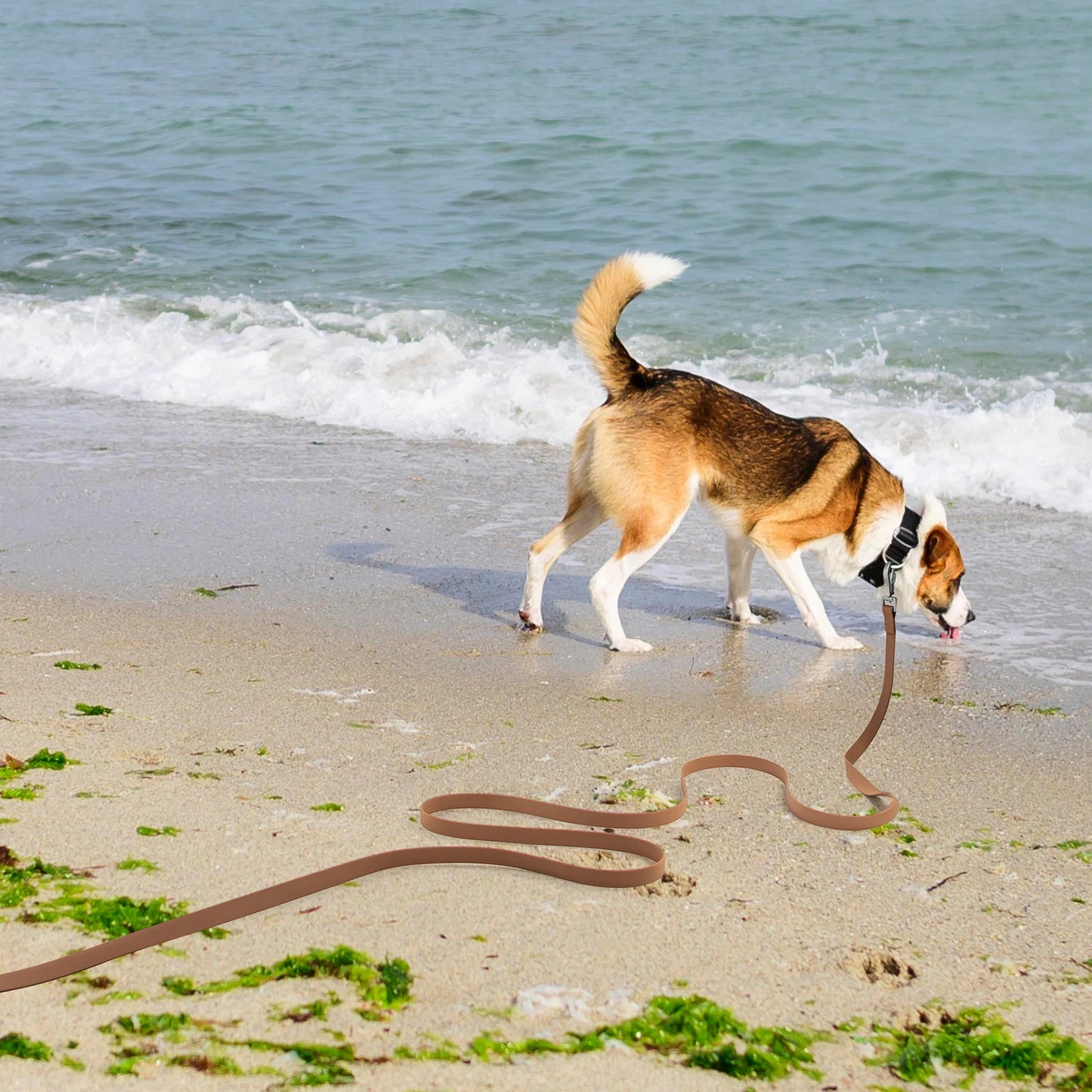 Rubber Long Dog Leash 2M 3M 5M 10M