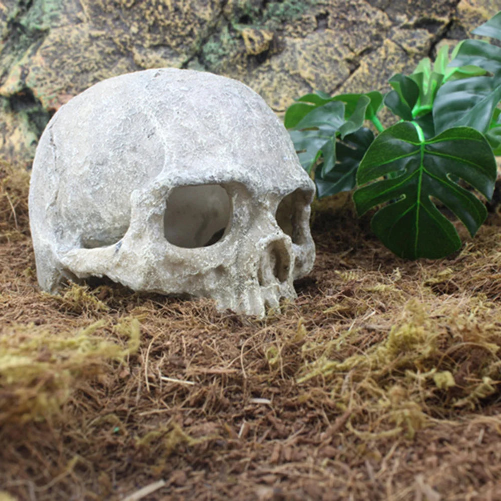 TOPINCN Skull Hideout Resin Statue Reptile Cave Decor