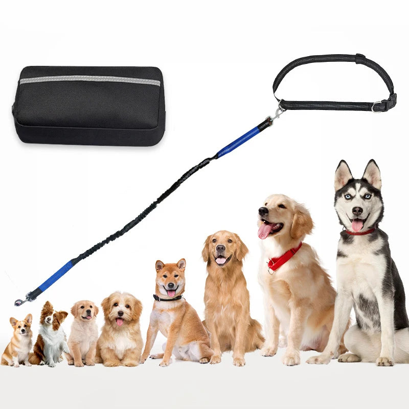 Multifunctional Sports Waist Bag Extended Hand Free Leash Adjustable for dog walking and leash pet running leash with waist bag