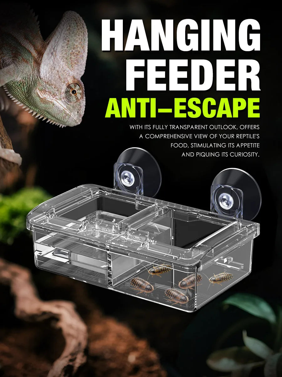 Reptile Ceramic Bowl - Anti-Escape Design