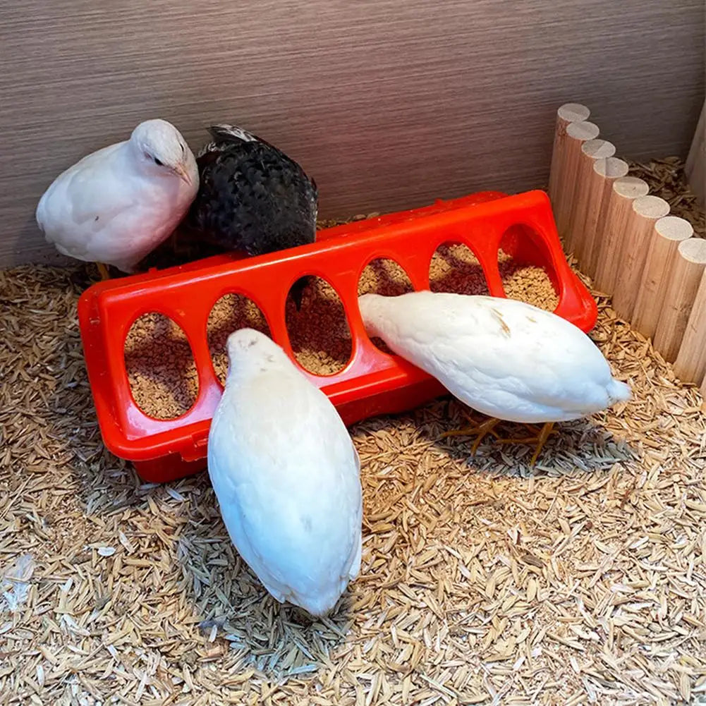 Poultry Thickened Feeder And Drinker Water Food Dispenser Chicken Birds Chick Waterer Feeding Bucket Container