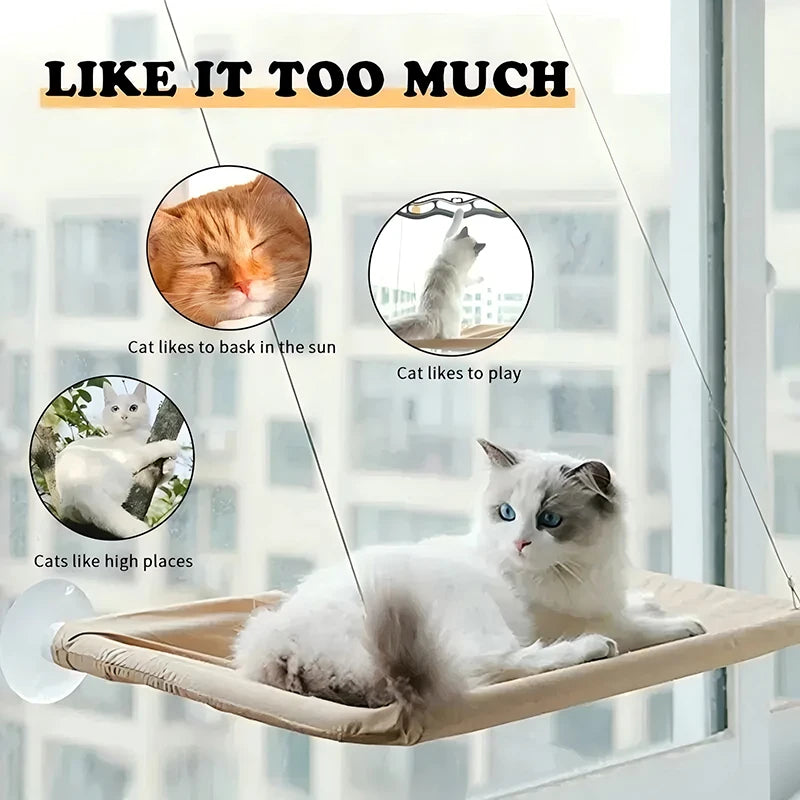 Cat Hammock Bed For Window Sunny Seat Washable And Detachable Suction Cup Shelf Pet Bed Accessories