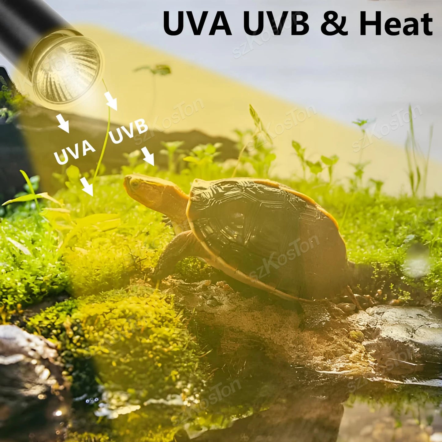 Reptile Insulated Lamp with Fixing Clip 50W UVA UVB Bulb Feeding Box Timeable Heat Lamp for Lizard Supplies Turtle Accessories