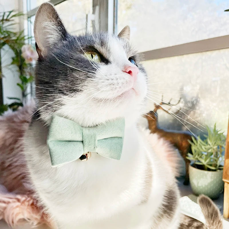 Title (SEO, ≤60 chars): Velvet Cat Collar With Bowknot And Breakaway Adjustable