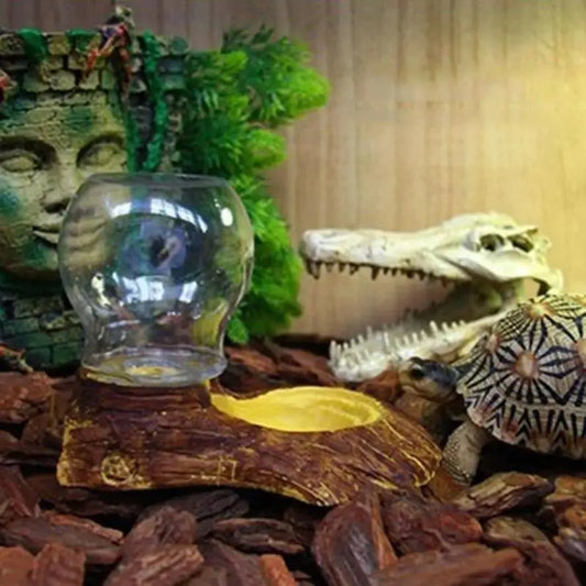 1 Pcs All-in-one Pet Drinking Bowl Reptile Pet Drinking Basin Reptile Turtle Basin Pet Supplies