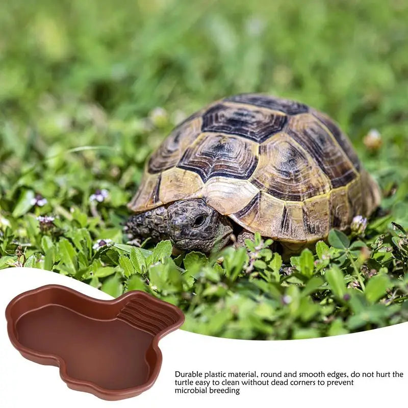 Turtle Feeding Dish Reptile Bathing Pool With Ramp And Basking terrace Aquarium Ornament For Turtle, Bearded Dragon ﻿