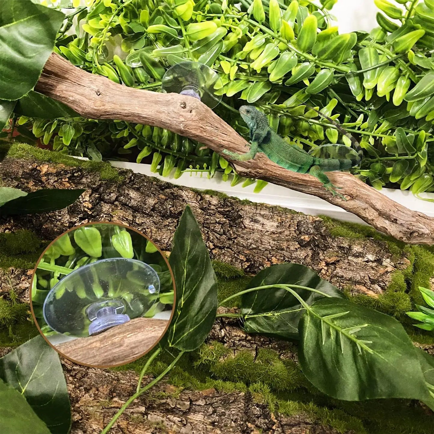 Reptile Climbing Corner Stick Non-slip Reptile Branches Terrarium Branches Reptile Decor Wooden Tree Trunk Ornament Habitat Deco