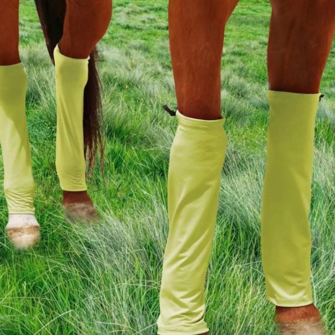 Title (SEO, ≤40 chars): Horse Leg Covers Mosquito Proof Guards