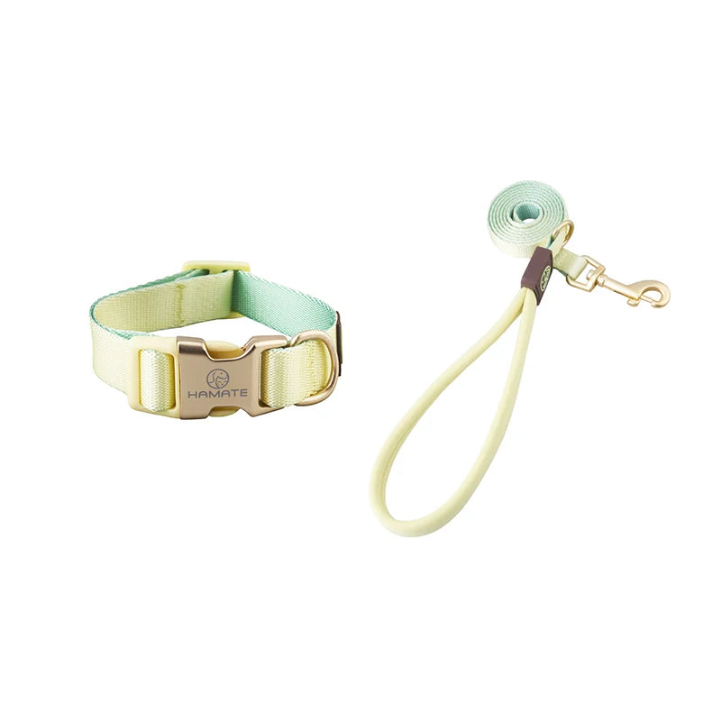 Pet Shop All Bulldog Frances Puppy Choker Collar Dog Leash Breastplates Lead Set Harness No Pull Pets Accessories for Small Dogs