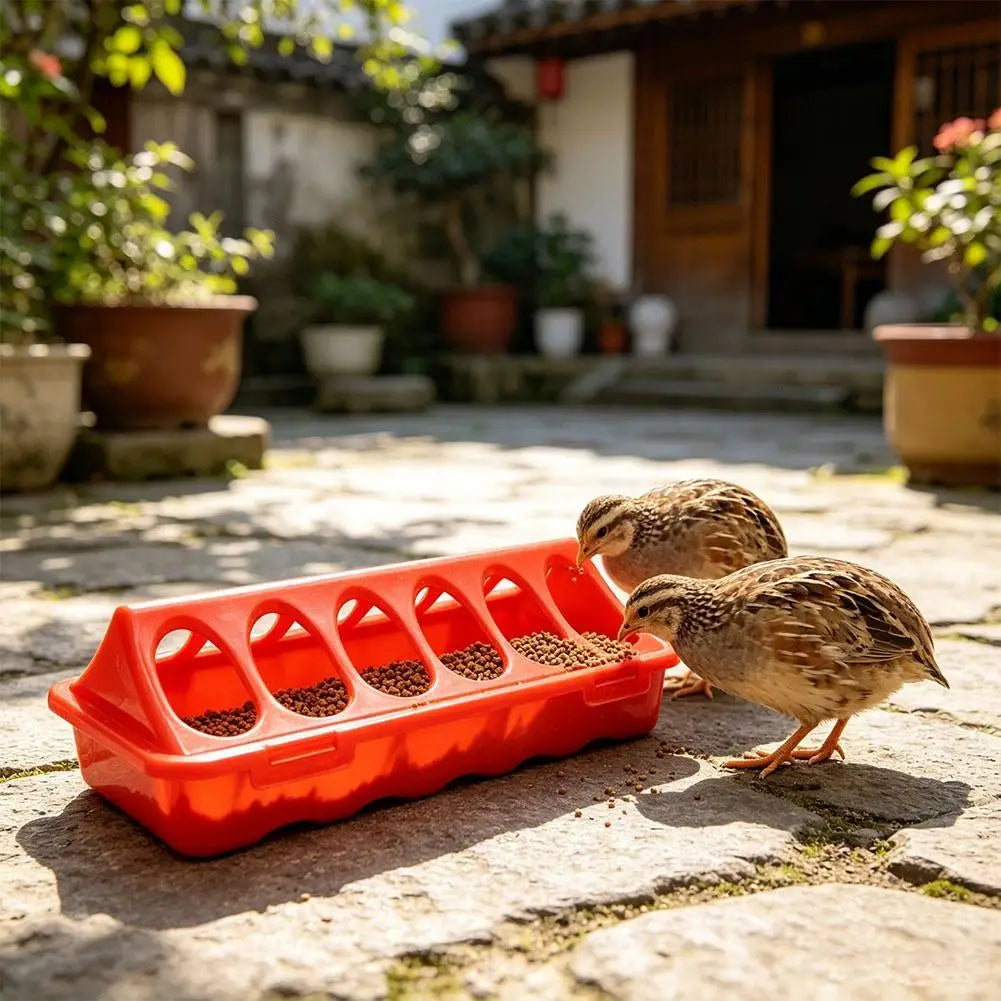 12-Hole Anti-Waste Poultry Feeder for Quail Chicks Pigeons – Durable Plastic Double-Sided Feeding Tray, Prevents Food Scattering