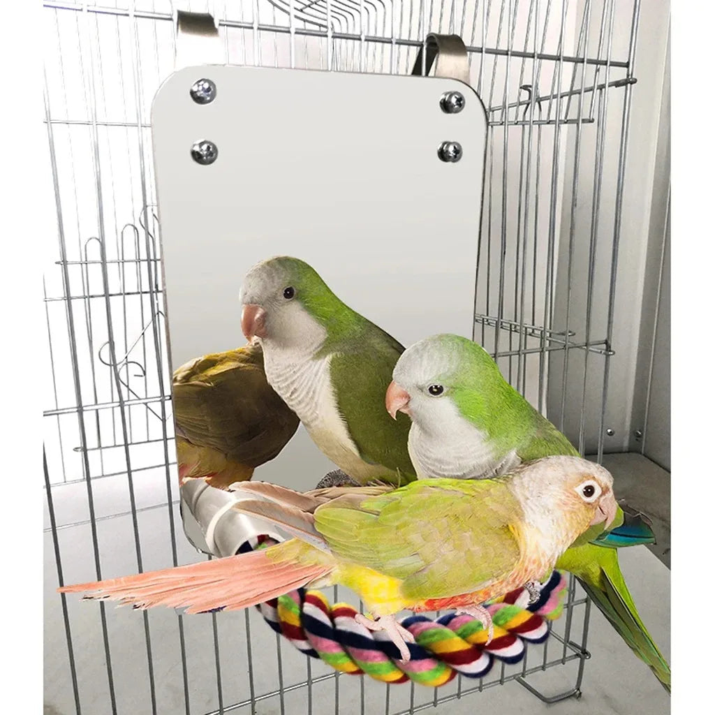 Bird Mirror Perch And Swing Toy For Parrots Parakeets Finches Macaws Interactive Entertainment Preening
