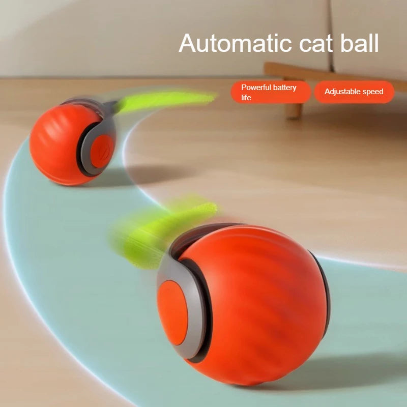 Cats Interactive Ball Toys