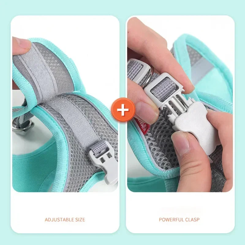Small Dog/Cat Harness