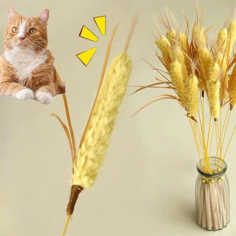 Cat Teaser Stick Toy Natural Bite Resistant Straw Bell Kitten Toy Pet Cat Teeth Cleaning Feather Teasing Stick Cat Accessories