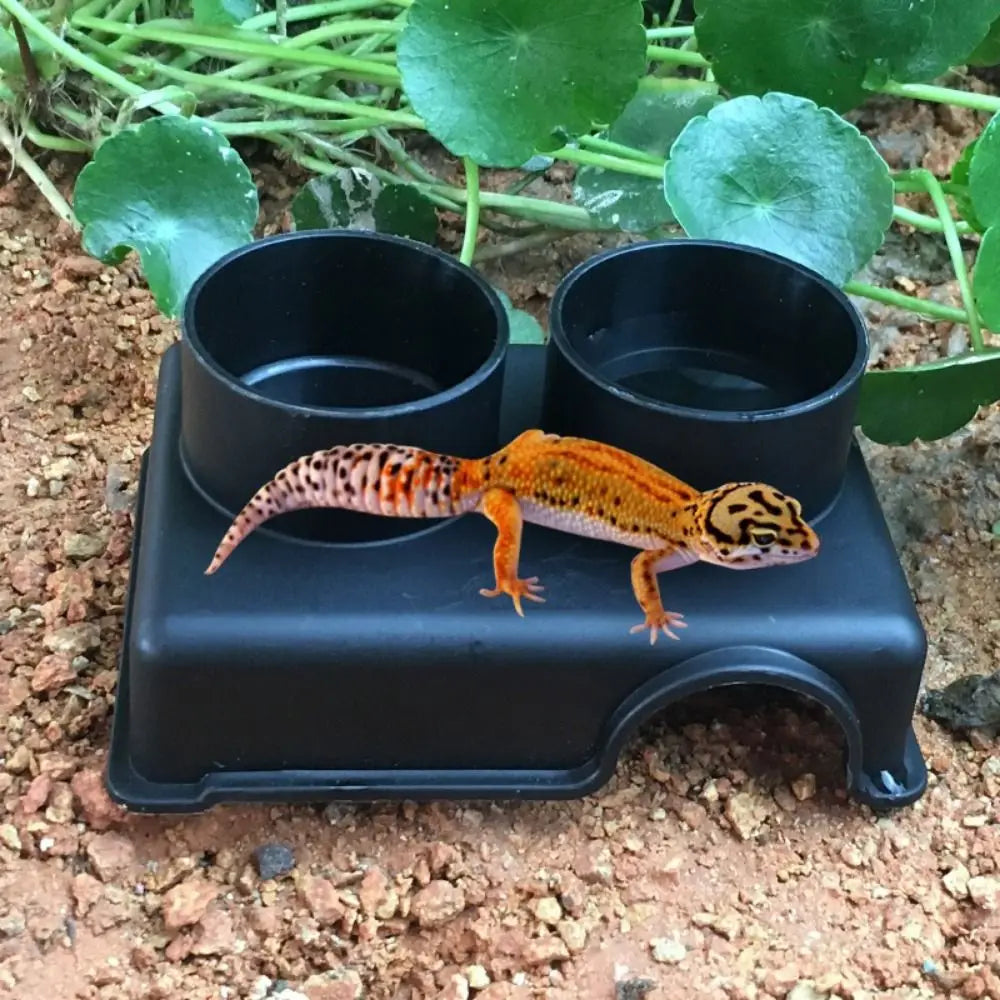 Reptile Climbing Box Black Reptile Hide Box Plastic Rectangle Snake Shelter House S/M/L Reptile Caves Spiders