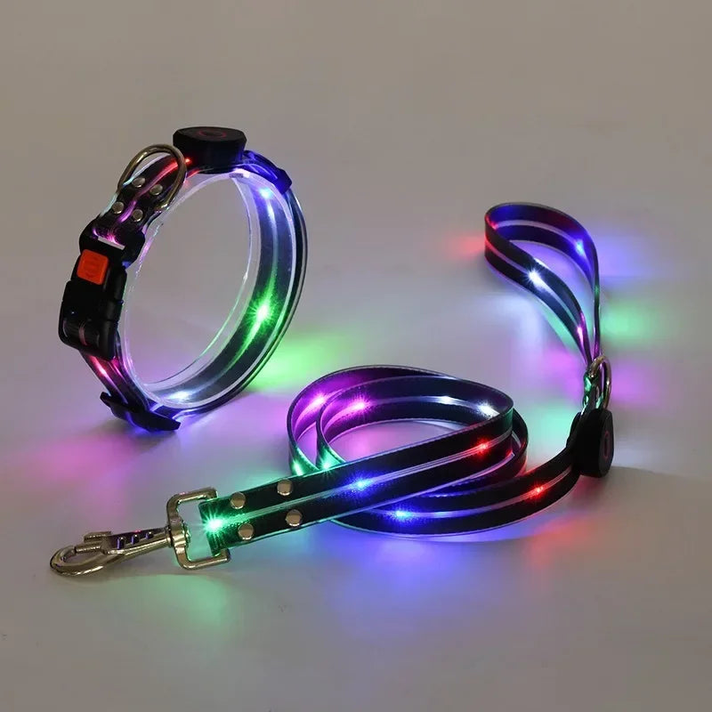 Nighttime Luminous Collar and Traction Rope Pet Collar with Nylon Webbing Dog Leash with Night To Prevent Getting Lost Cat Chain