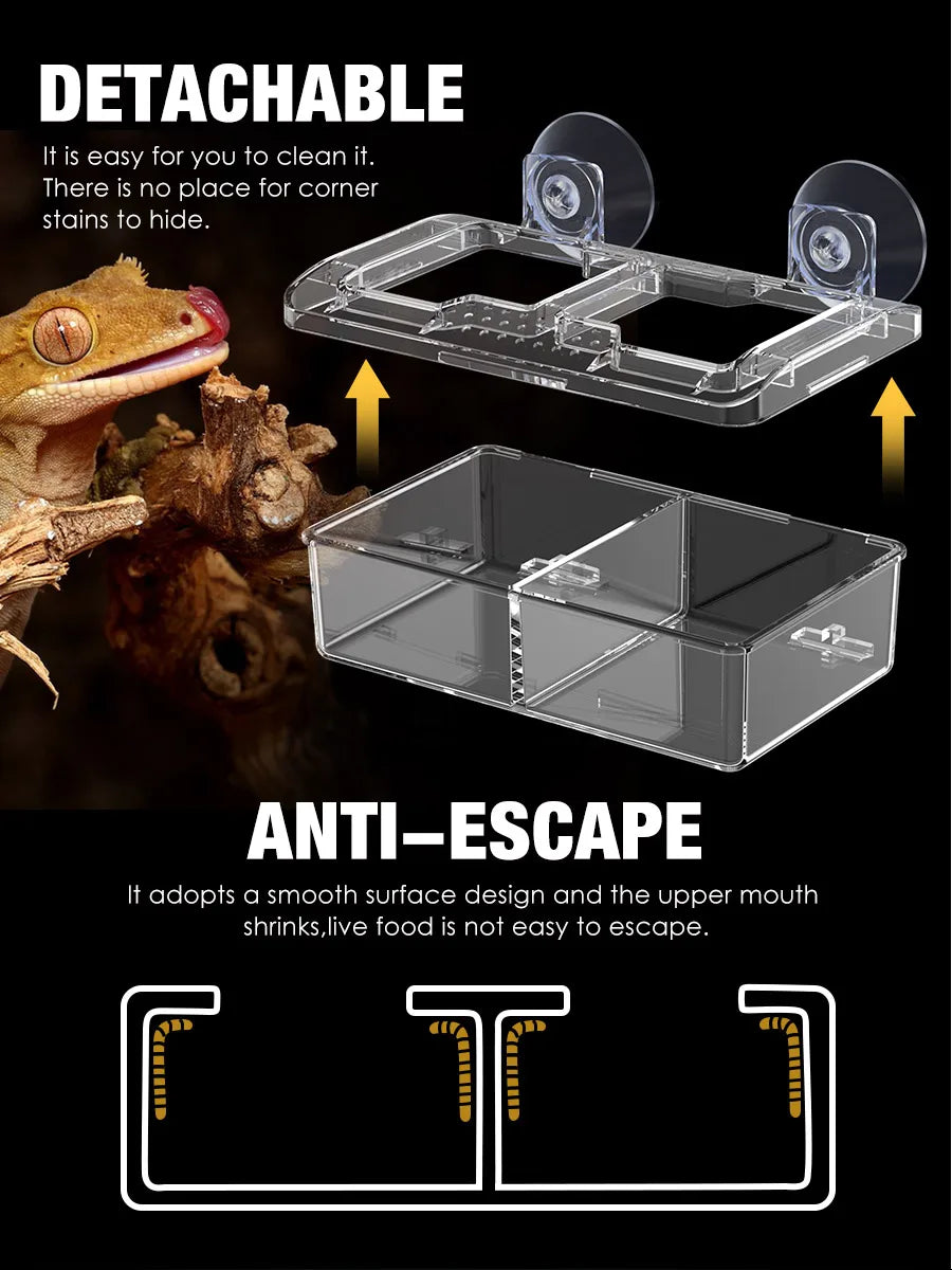 Reptile Ceramic Bowl - Anti-Escape Design