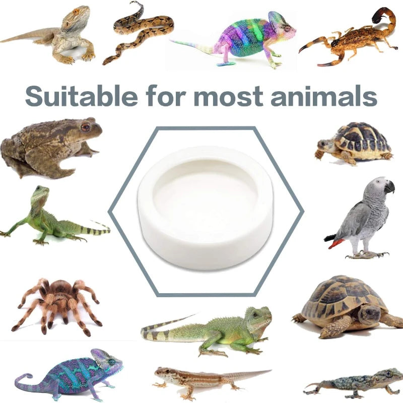 Reptile Water Food Bowl Anti-Escape Ceramic Feeder Dish for Lizard Hermit Gecko Chameleon Corn Snake Bearded Dragon Accessories