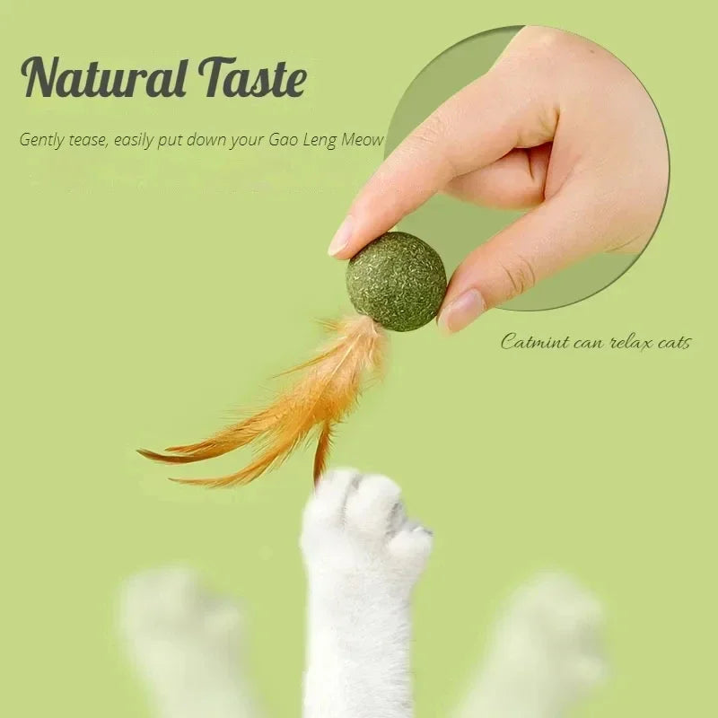 Title (SEO, ≤40 chars): Edible Catnip Ball Toy Mint Infused Cats