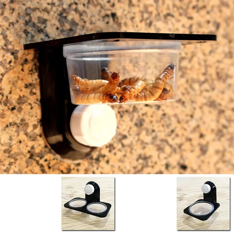 Reptile Feeding Bowl & Breeding Box
