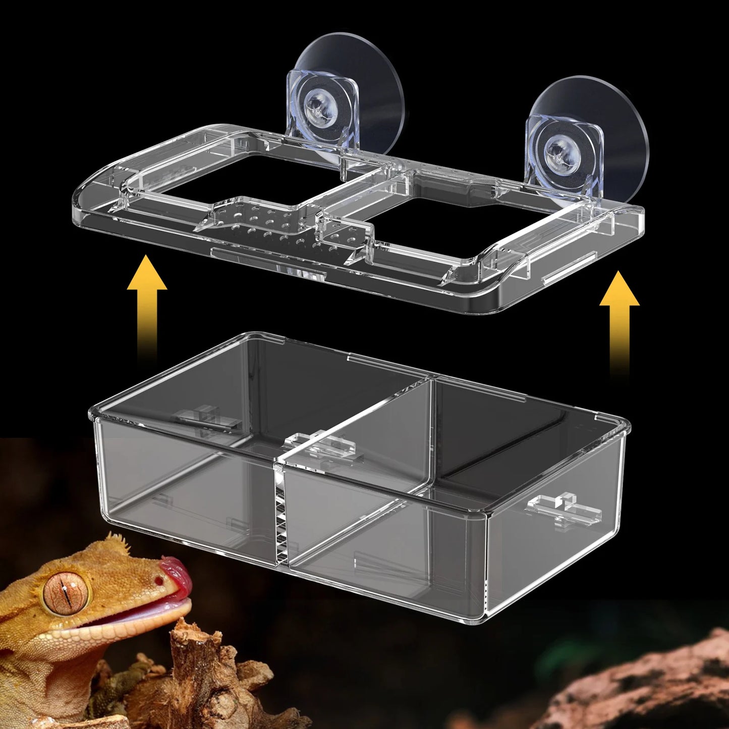 Reptile Anti-Escape Worm Dish
