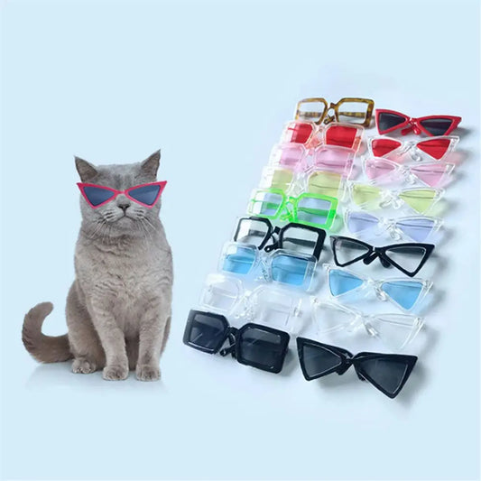 Cat Glasses