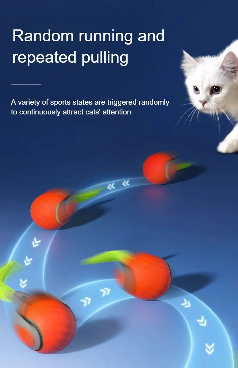 Cats Interactive Ball Toys