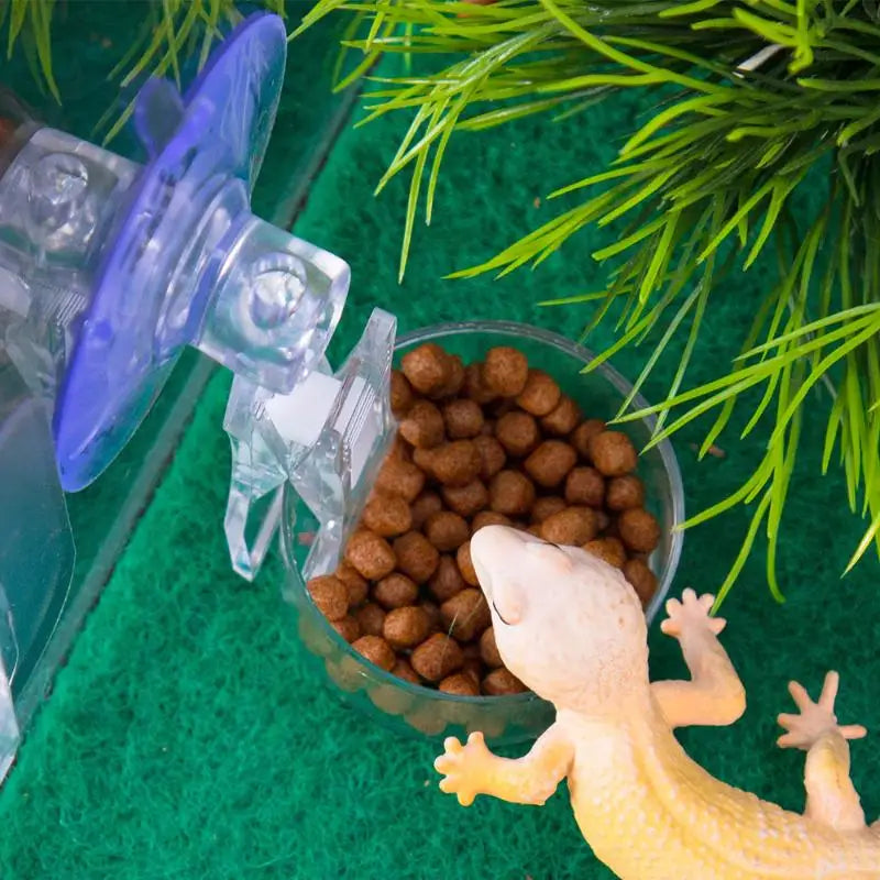 Reptile Water Food Bowl Suction Cup Food Tray Gecko Reptile Lizards Spider Tree Frogs Feeder Habitat Decoration Pet Supplies