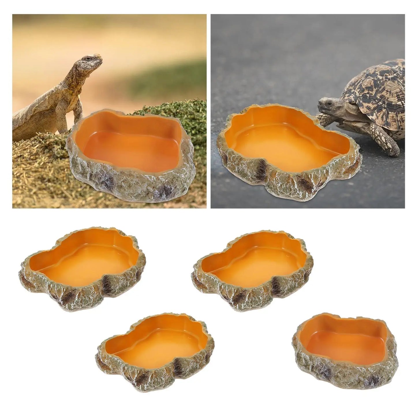 Reptile Water Bowls