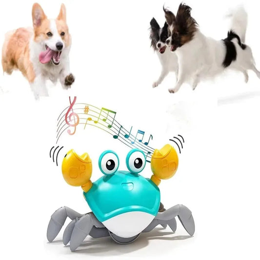 Dancing Crab Pet Toy with Music & Auto-Dancing, Interactive Fun for Cats Dogs - Indoor Pet Entertainment