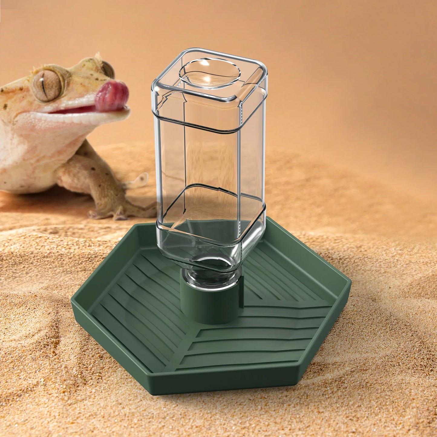 Reptile Water Dispenser, Water Bowl, Feeding Supplies, Suitable for Lizards, Turtles, Geckos, Terrarium Accessories