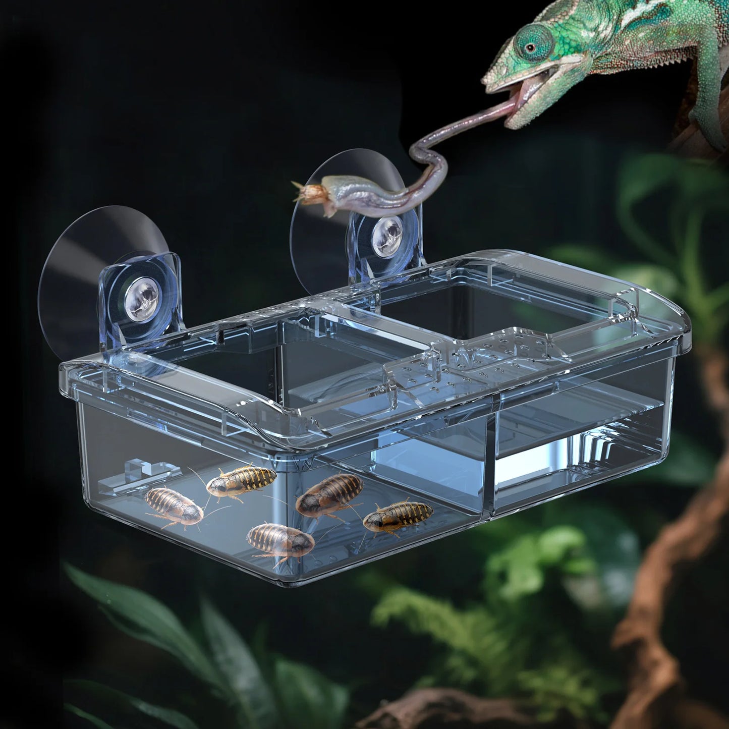 Reptile Anti-Escape Worm Dish