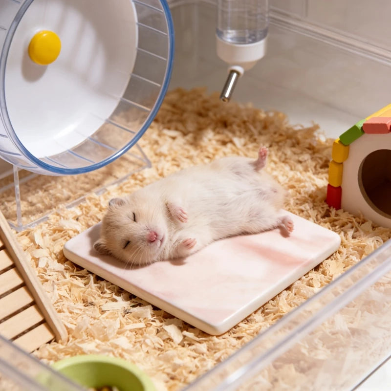 Hamster-Specific Cooling Pad Chew-Proof And Tip-Resistant Cooling Mat Cooling Pad For Hamsters Small Pet Easy To Clean